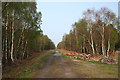 Track along disused railway line in Fenn