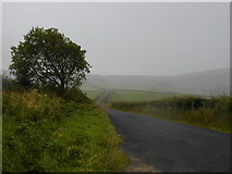 C3619 : Road near Grianan Ailigh by Chris Gunns