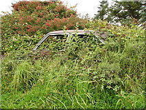 C4149 : Car returning to nature by Chris Gunns