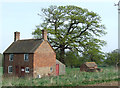 SO7990 : Derelict Cottage, Gatacre Green, Shropshire by Roger  D Kidd