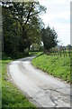 Driveway to Pickhill Hall & Farm