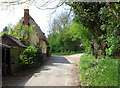 Cottage on Water Lane