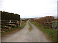 The lane to Cefnwilgy Fach