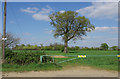 Tree and gate