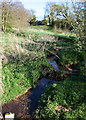 Tributary of Carden Brook