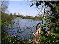 Culverthorpe Hall as seen from the lakeside path