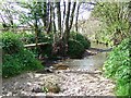 Footbridge over the Wriggle at Chetnole