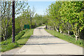 Entrance Driveway to Sayes Park Farm