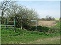 Bridleway near Park Farm