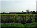 View towards New Road Farm