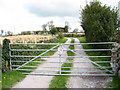 The gate to Blaen-y-cae