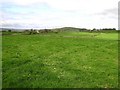 Creevy Lower Townland, Castlederg