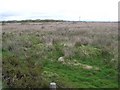 Creevy Townland