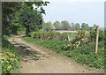 Byway near Woundale, Shropshire