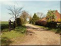 Footpath to Badingham