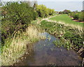 Elstow Stream