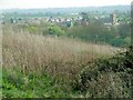 Milcombe, from Fern Hill