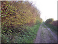 Footpath from Pennings Farm near Coombe Bissett