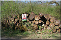 TF0529 : Log stack in Temple Wood by Kate Jewell