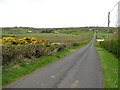 Road at Barley Hill