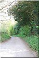 Road leading to Milton Park Wood