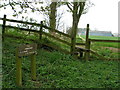 Bridleway in Square Plantation