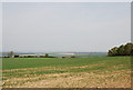 Downland north of Dunbury Lane