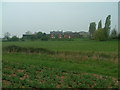 Broadfields Farm looking across Pessall Brook