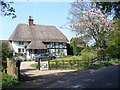 Thatch in Blackmoor