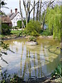 Village Pond, East Tisted