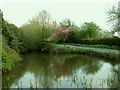 Part of a moat at Rookery Farm