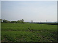 Field and footpath near Quainton