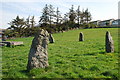 SH4675 : Cylch yr Orsedd Llangefni Gorsedd Circle by Alan Fryer