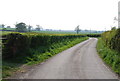 Road from Stour Row, heading south