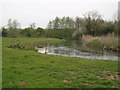 River Windrush at Tub Hole near Minster Lovell