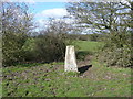 Draycott trig