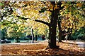 Moseley Park in autumn