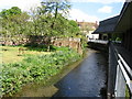 The River Allen near Somerfields