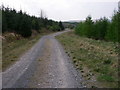 SO0009 : Forest track, Penmoelallt by Alan Bowring