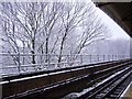 Ravenscourt Park Station in the snow