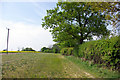 Footpath towards Leigh Green