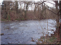 River Ericht at Blairgowrie