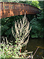 Bridge over the river Otter