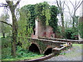 Prendergast mill ruins