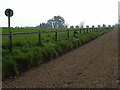 Gallop near Manton House