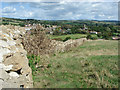 Boundary wall above Burton Bradstock