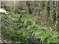 Stream below Treworgie Mill.