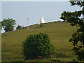 White Nancy