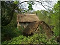 Thatched farm buildings