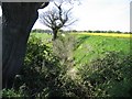 Deep Ditch near Highfield Farm - Looking West